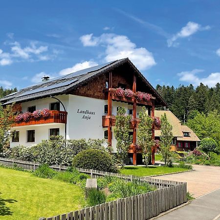 Landhaus Anja 弗罗伊登施塔特 外观 照片