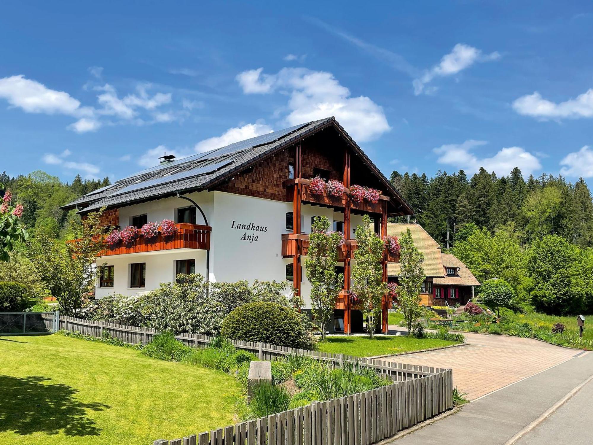 Landhaus Anja 弗罗伊登施塔特 外观 照片